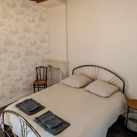 Apartamento De Charme - Coeur De La Doutre - - 4 A 6 Personnes Angers