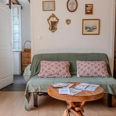 Apartamento De Charme - Coeur De La Doutre - - 4 A 6 Personnes Angers